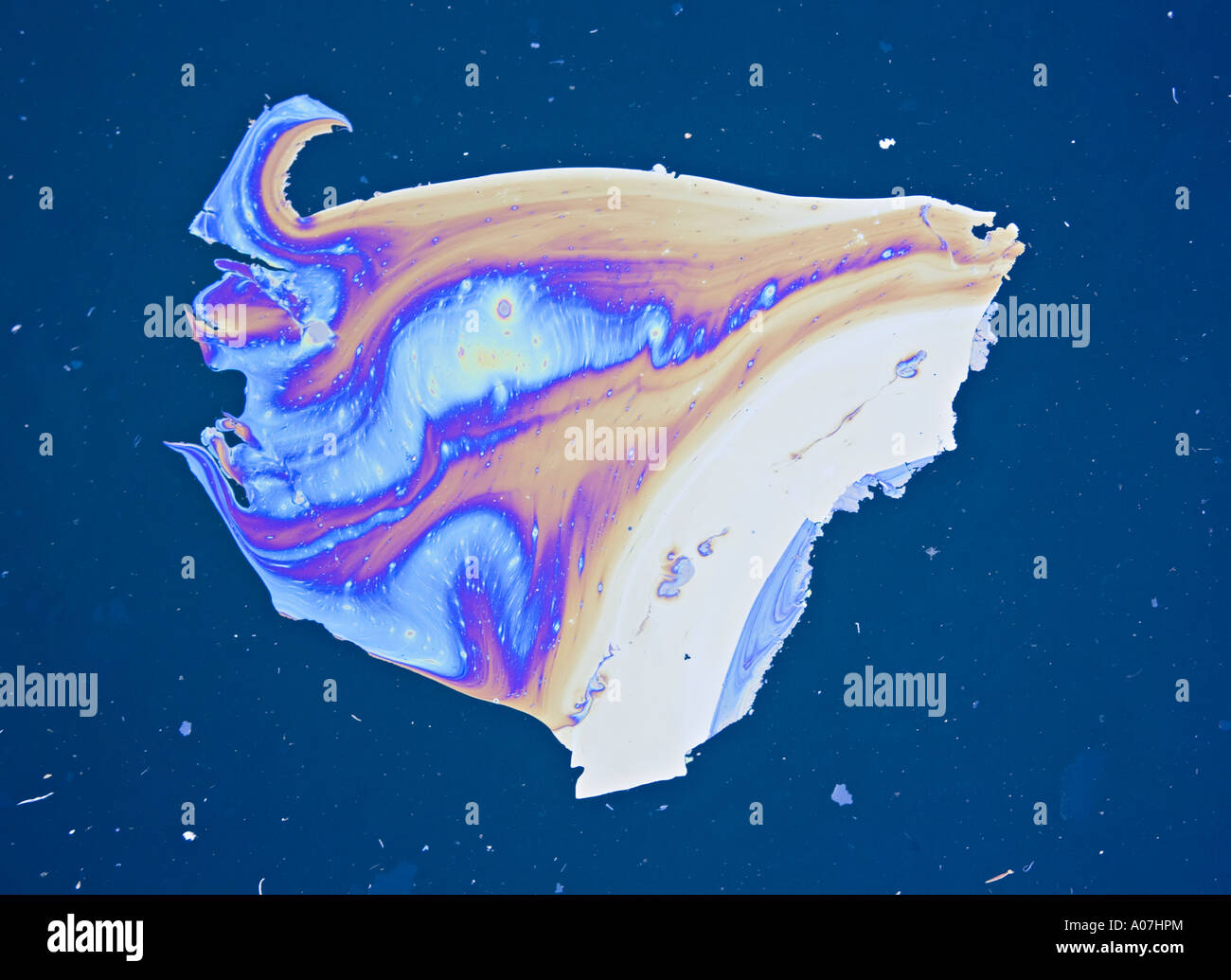 Oil floating on seawater in dock USA Stock Photo Alamy