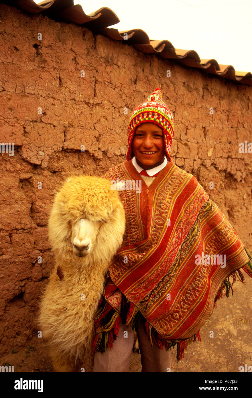 1, one, Quechua Indian boy, Quechua Indian, boy with alpaca, boy, alpaca, Cuzco, Cuzco Province