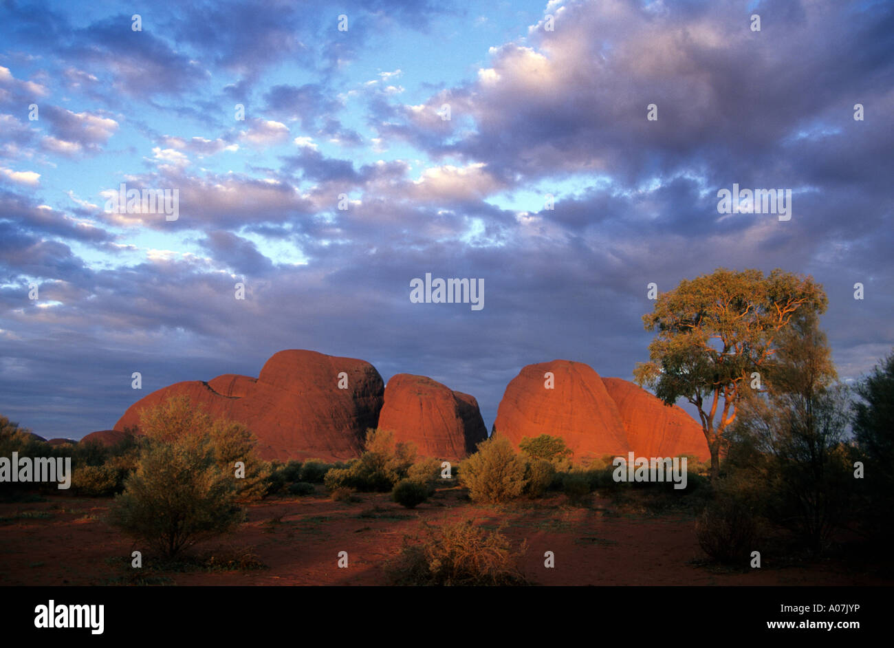Sunset at Kata Tjuta (The Olga’s) in the Uluru National Park, Northern Territory, Australia. Stock Photo