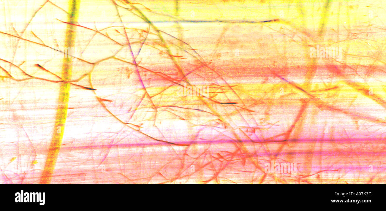 Colour abstract background photographs of various natural elements. Stock Photo