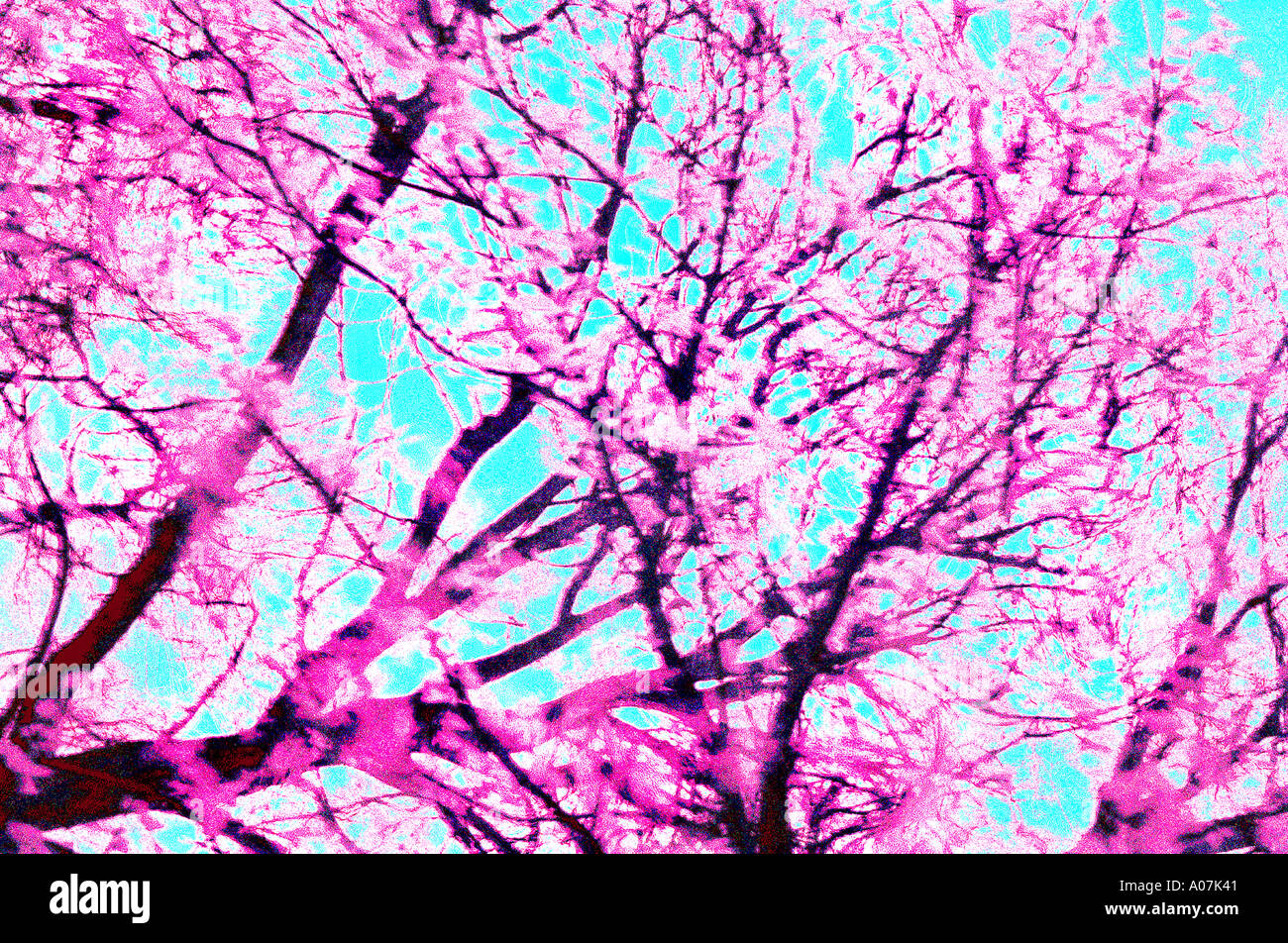 Colour abstract background photographs of various natural elements. Stock Photo