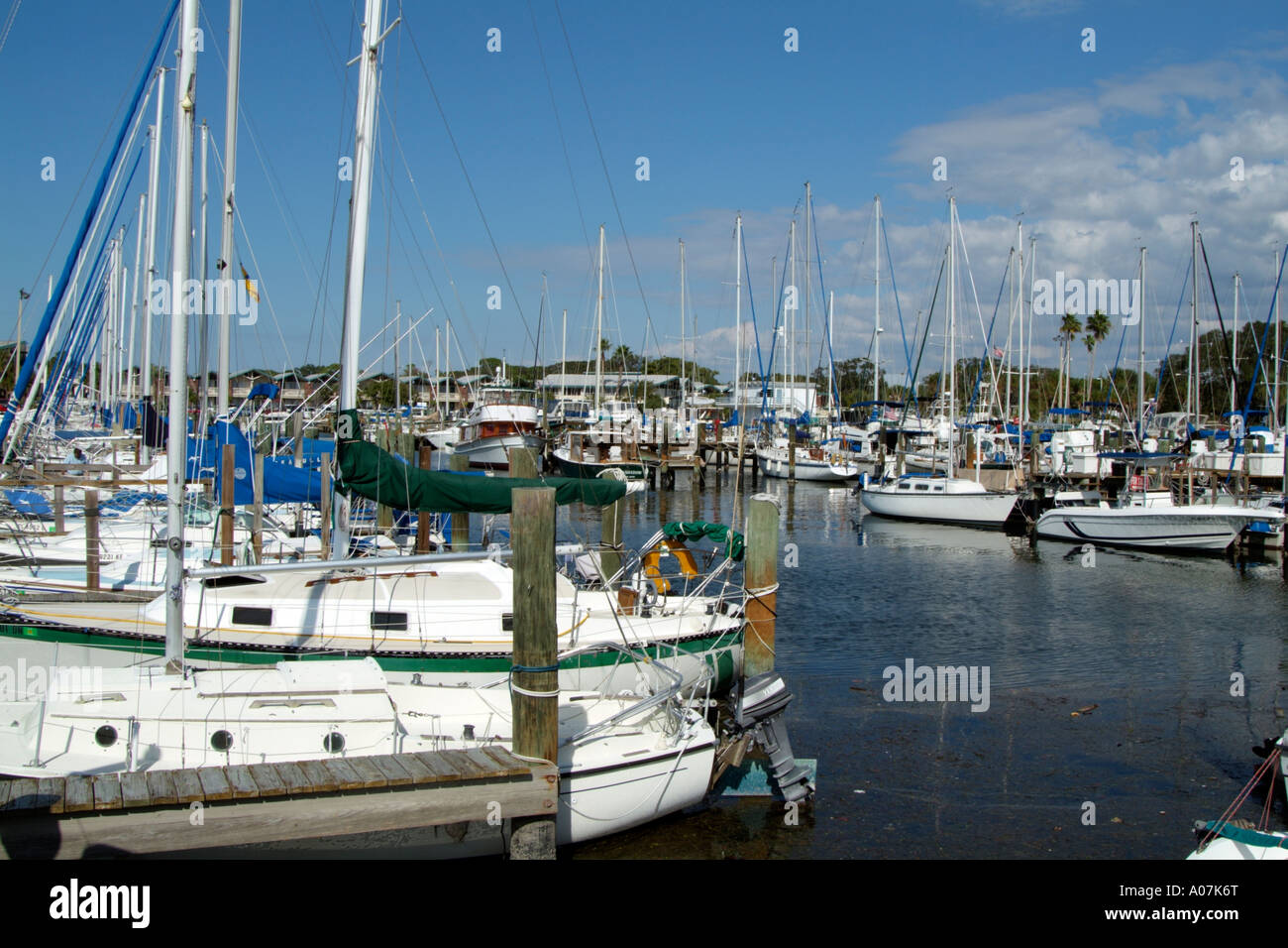 Dunedin a seaside and boating resort on the Gulf Coast Florida USA Stock Photo Alamy