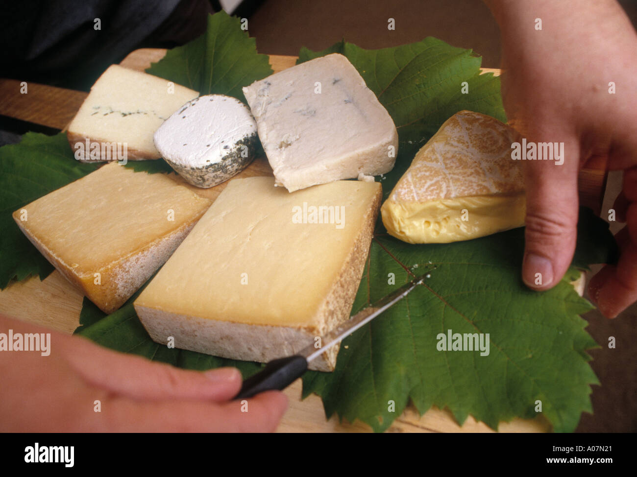 ANGERSON Cheese board including danish blue camembert goats cheese and