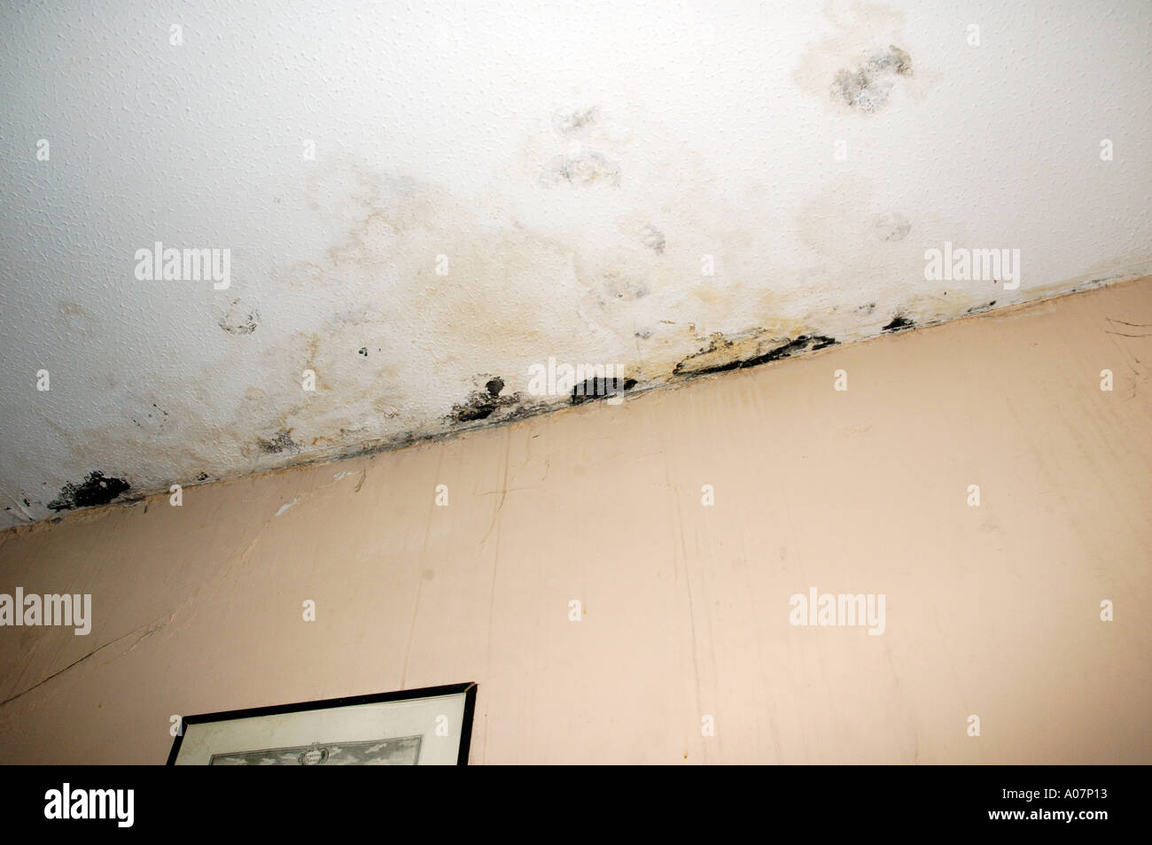 Mould growth and plaster cracking on ceiling and walls probably due to  water penetration through parapet and condensation Stock Photo - Alamy
