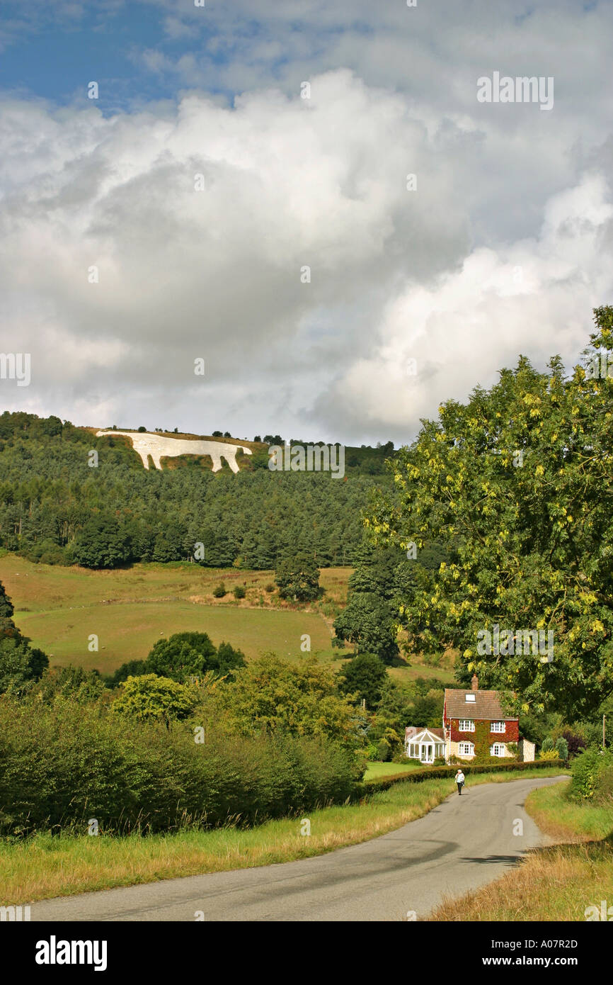 Kilburn North Yorkshire UK White Horse cut in chalk Stock Photo Alamy