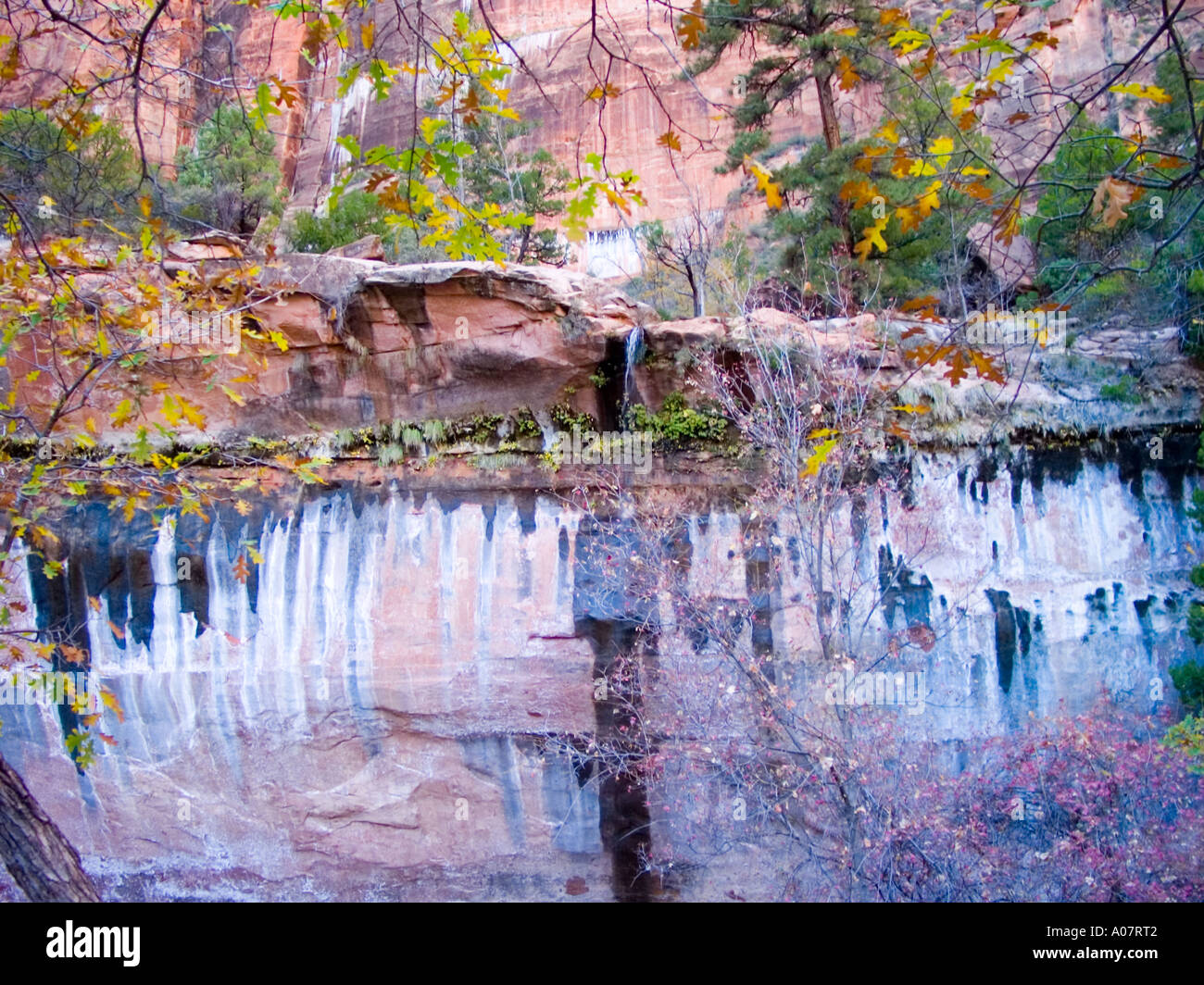 Zion national park utah november hi-res stock photography and images ...
