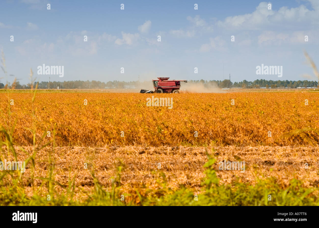 Harvesting soybean biodiesel hires stock photography and images Alamy