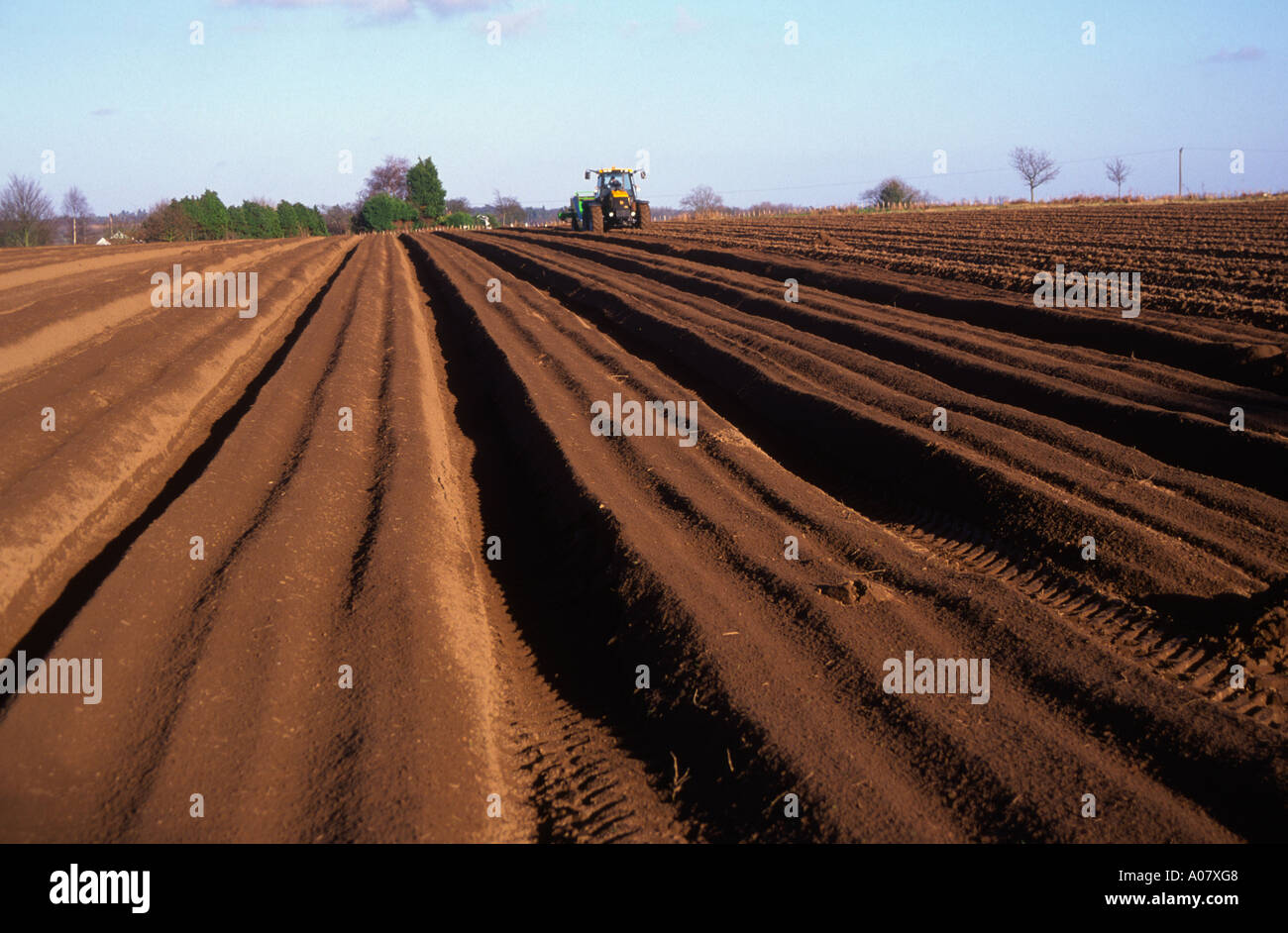 Furrows ploughed for potatoes Stock Photo