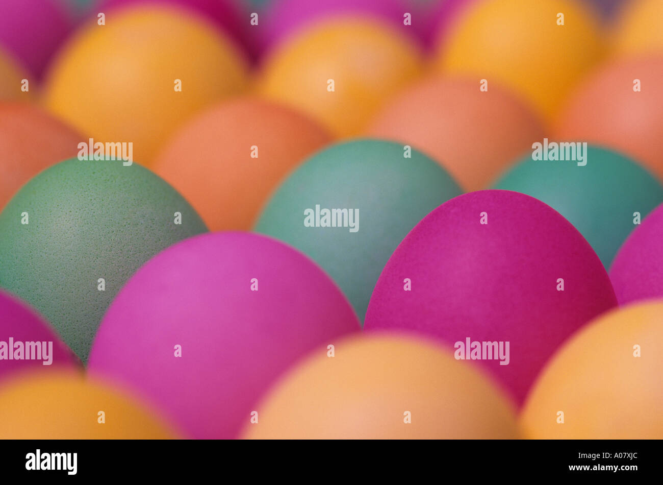 Colorful Easter eggs drying in egg cartons before being hidden on Easter morning Stock Photo