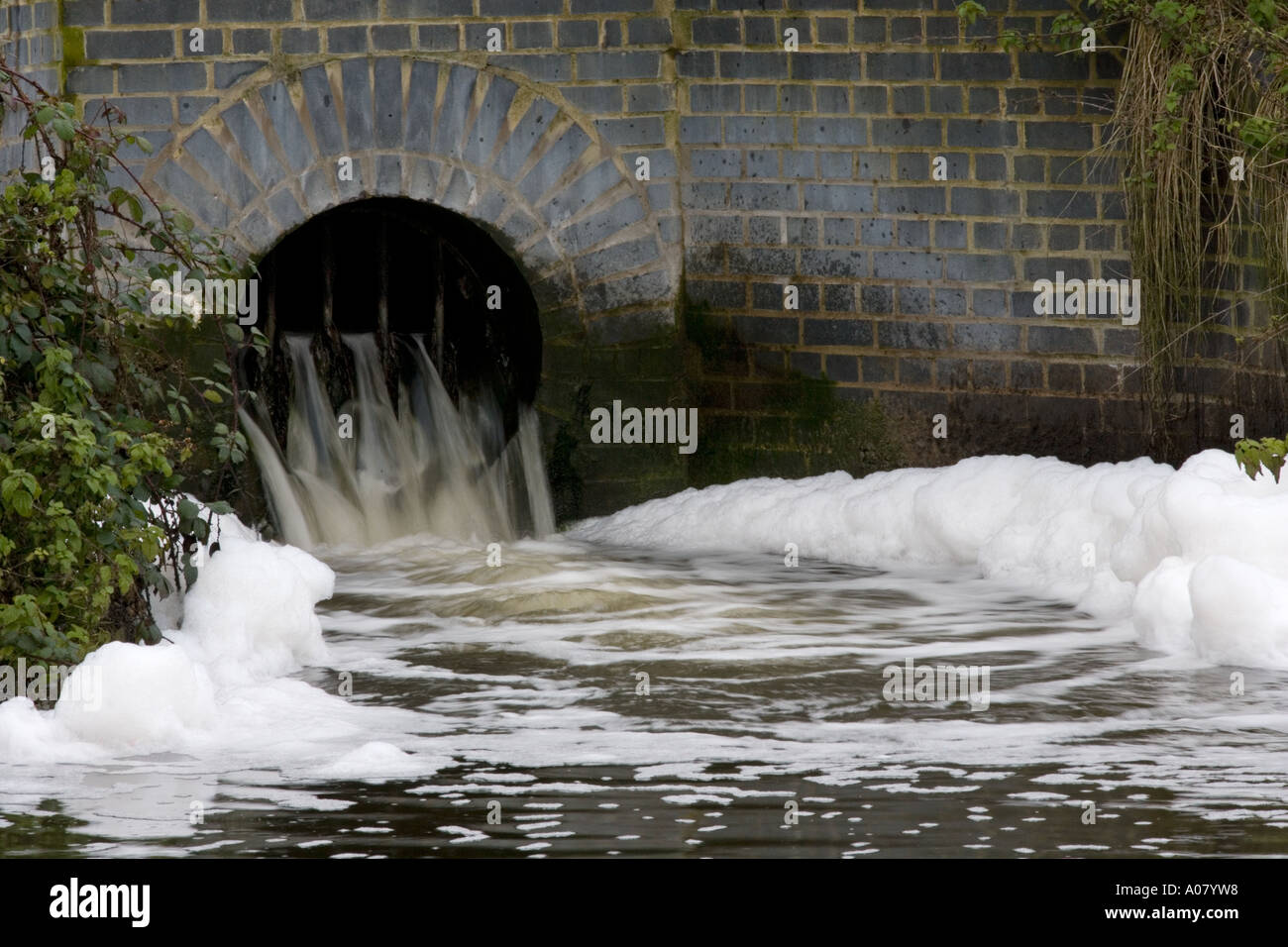 Pollution Grand Union Canal Berkhamsted Herts Winter Stock Photo