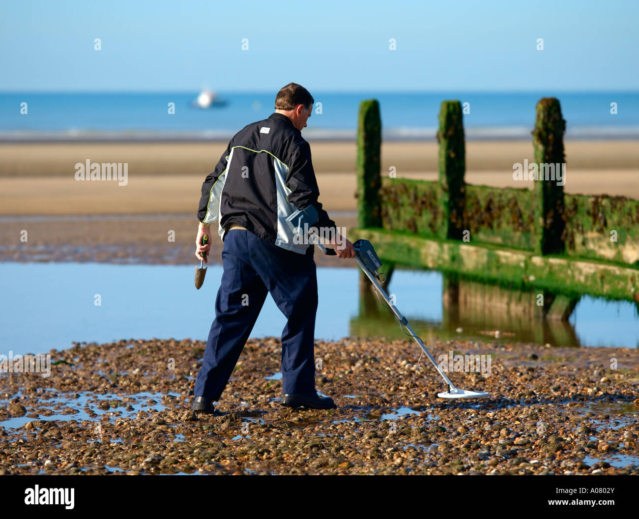 Metal Detector, Stock Photo Alamy