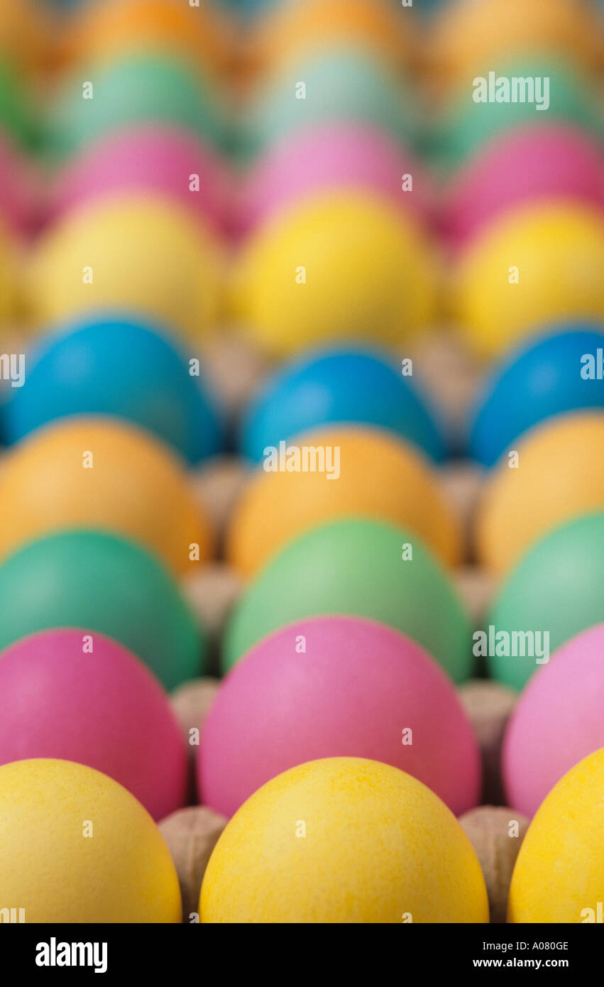 Colorful Easter eggs drying in egg cartons before being hidden on Easter morning Stock Photo