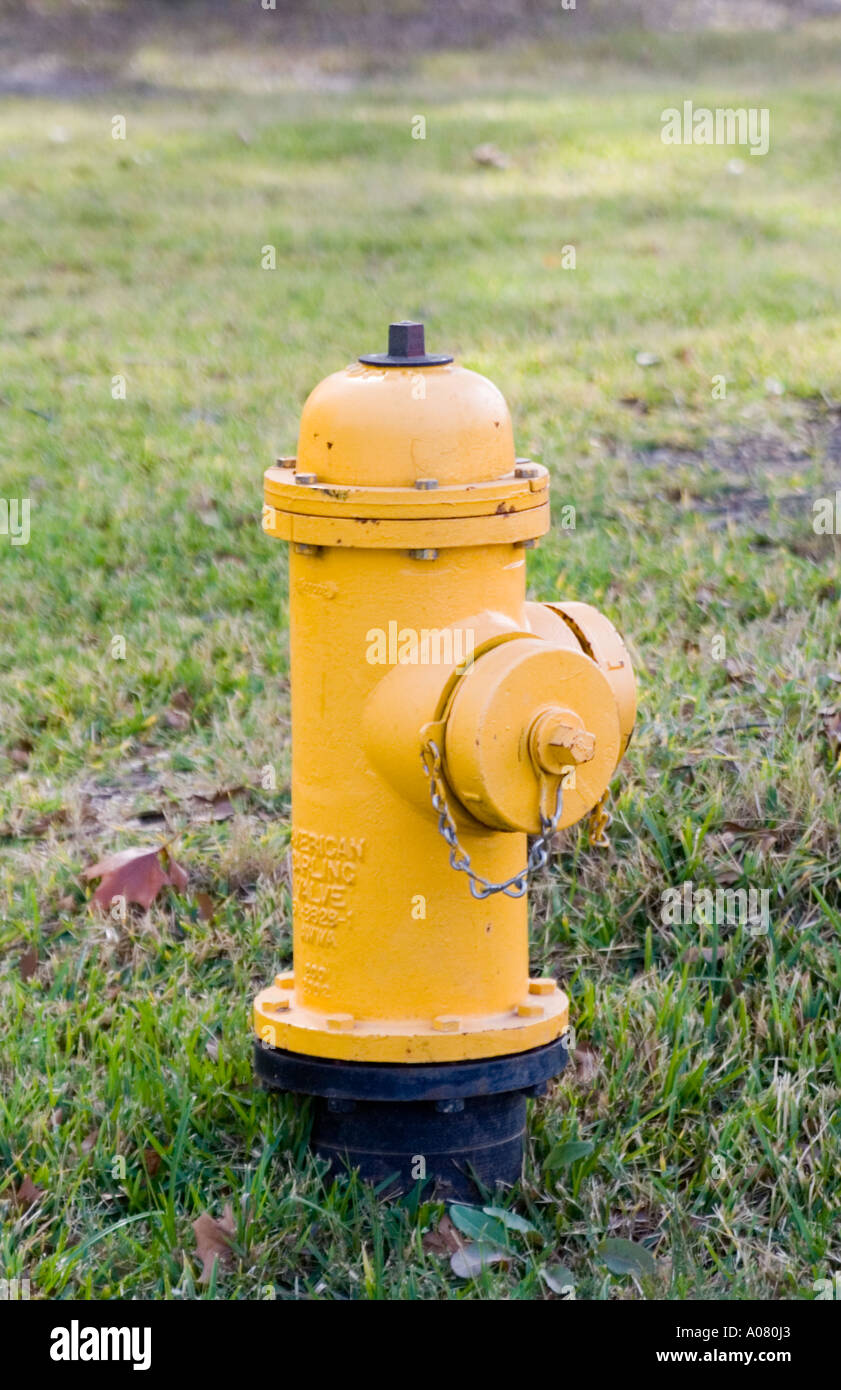 Yellow fire hydrant Stock Photo Alamy