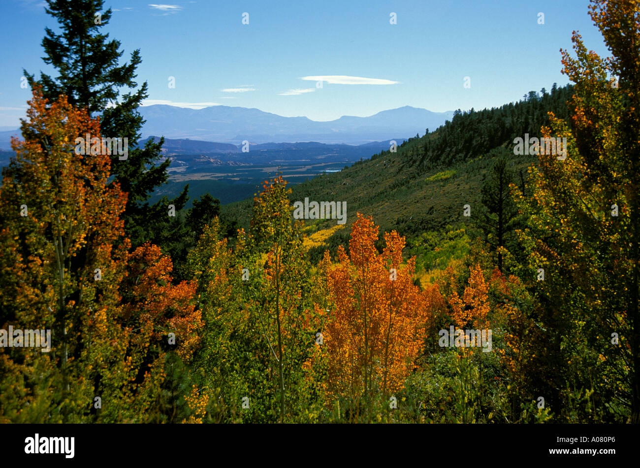 Fall and scenic Lab Hollow Overlook East end of Boulder Mountain Utah