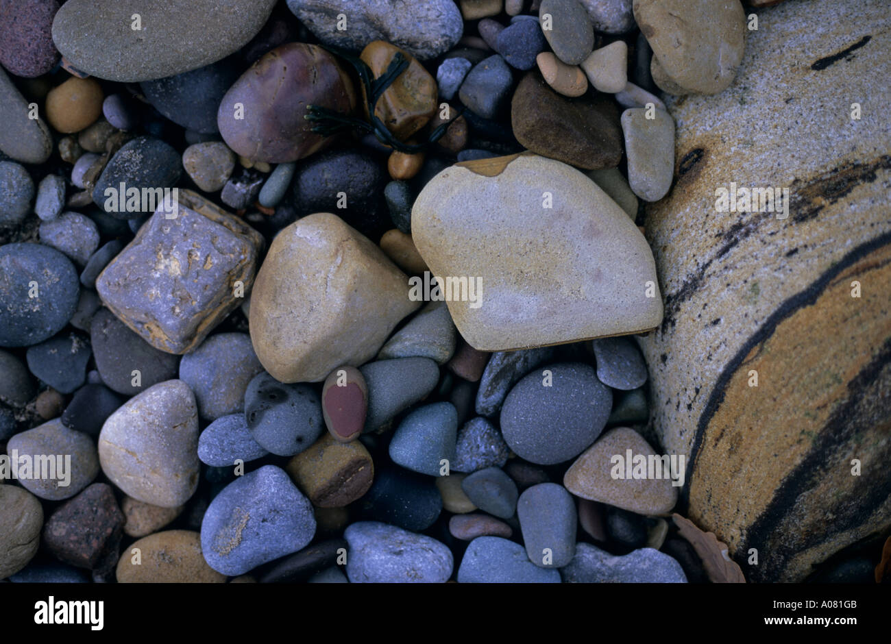 Close up shot of pebbles on the beach at Whitby Yorkshire England UK Stock Photo