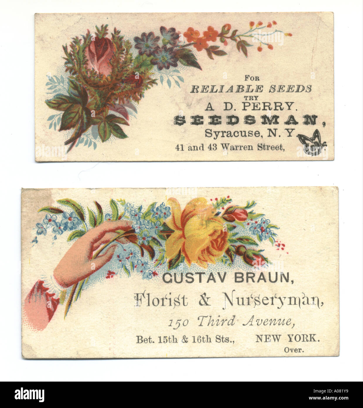 Seedsmens trade cards circa 1880 Stock Photo