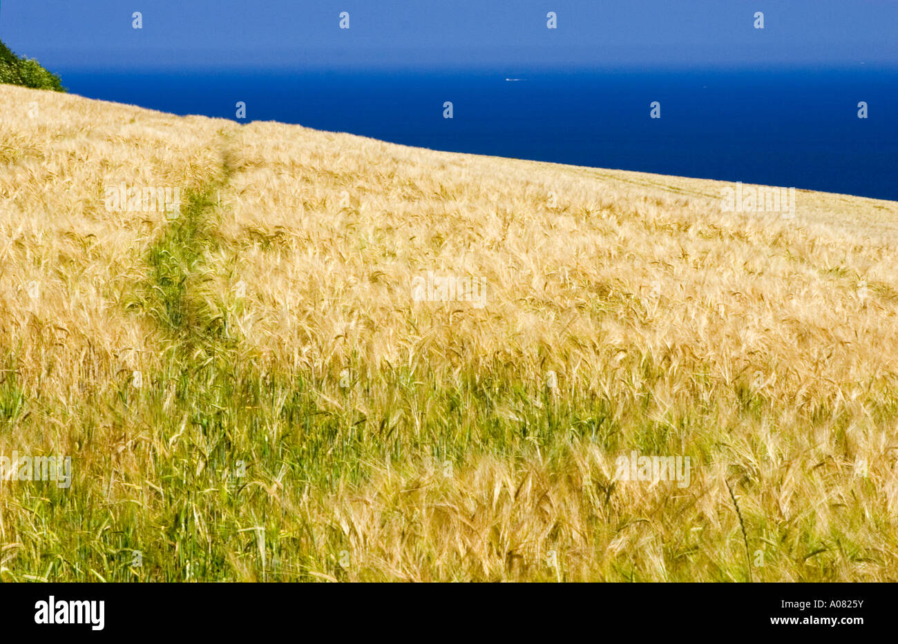 Froward point hi-res stock photography and images - Alamy