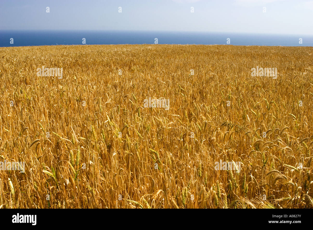 Froward point hi-res stock photography and images - Alamy