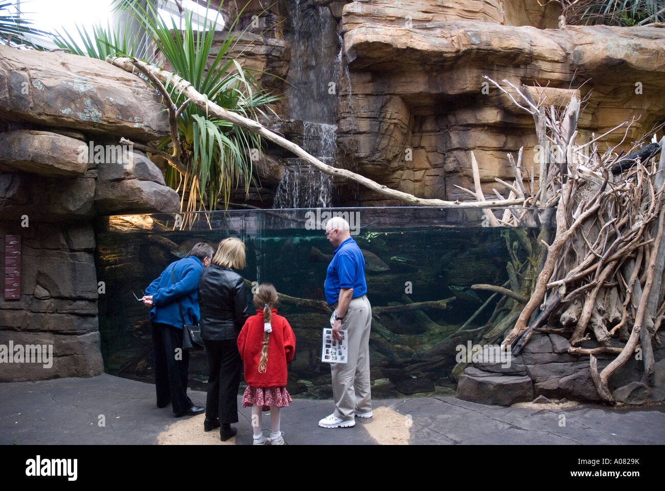 Visitors explore Animal Australia exhibit National Aquarium