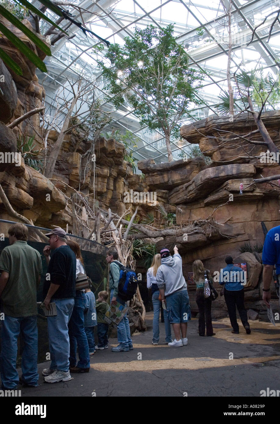 Visitors explore Animal Australia exhibit National Aquarium