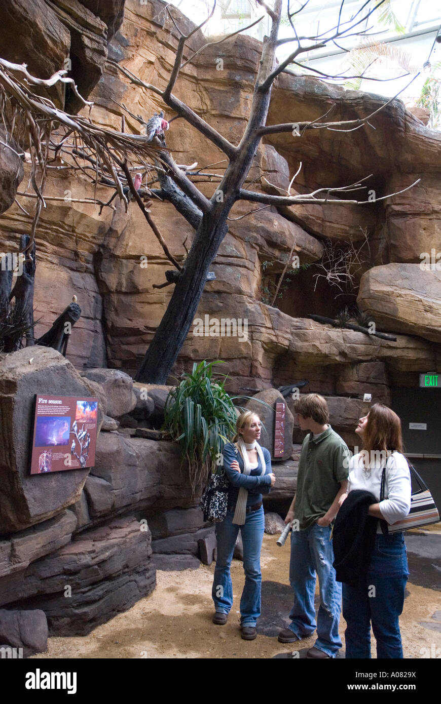 Visitors explore Animal Australia exhibit National Aquarium
