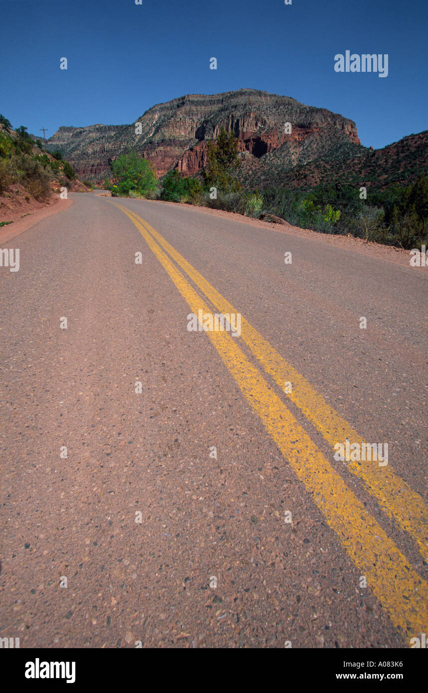 Road in the Santa Fe National Forest Stock Photo