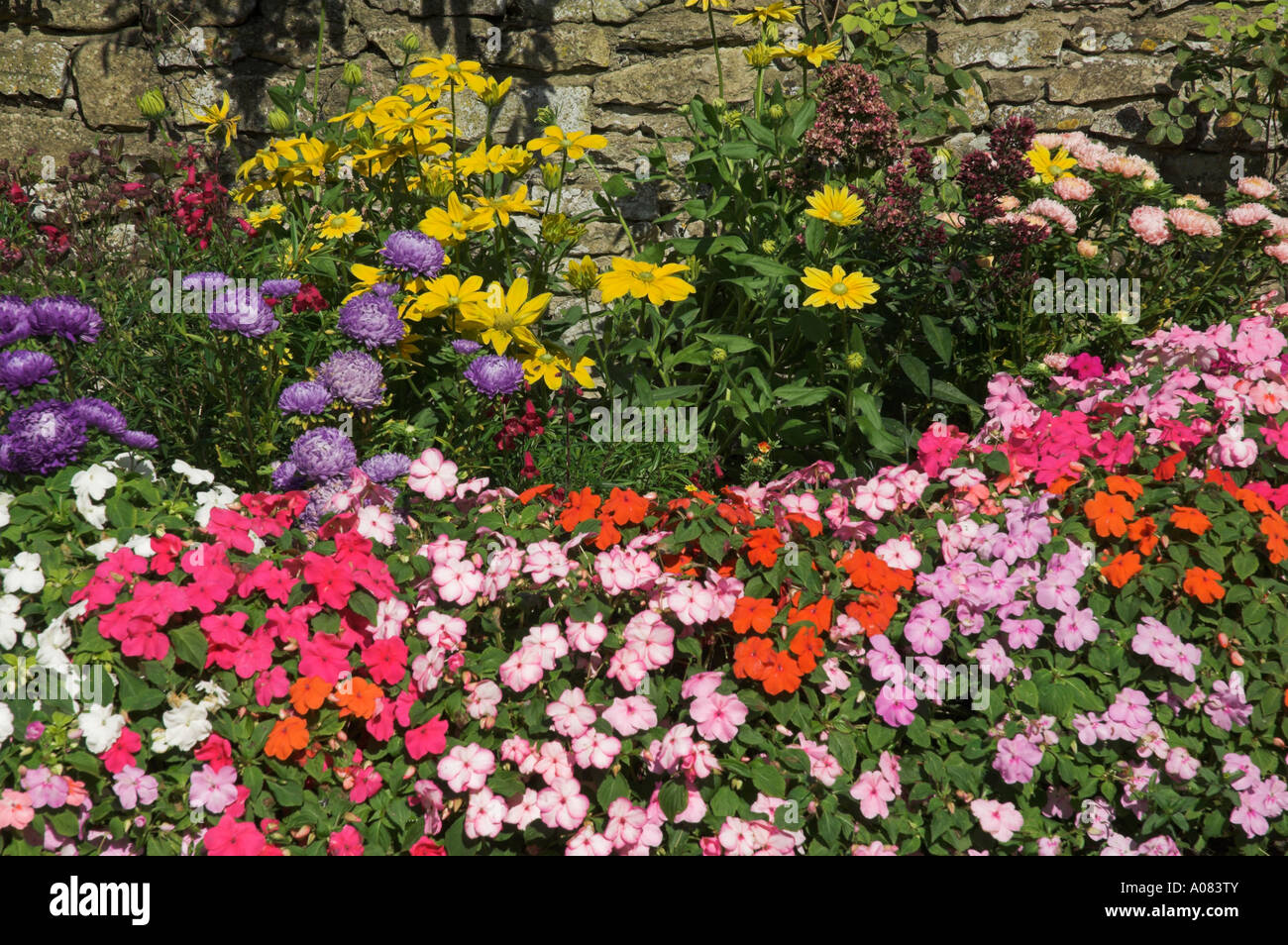 cottage garden flower display england uk gb eu europe Stock Photo Alamy