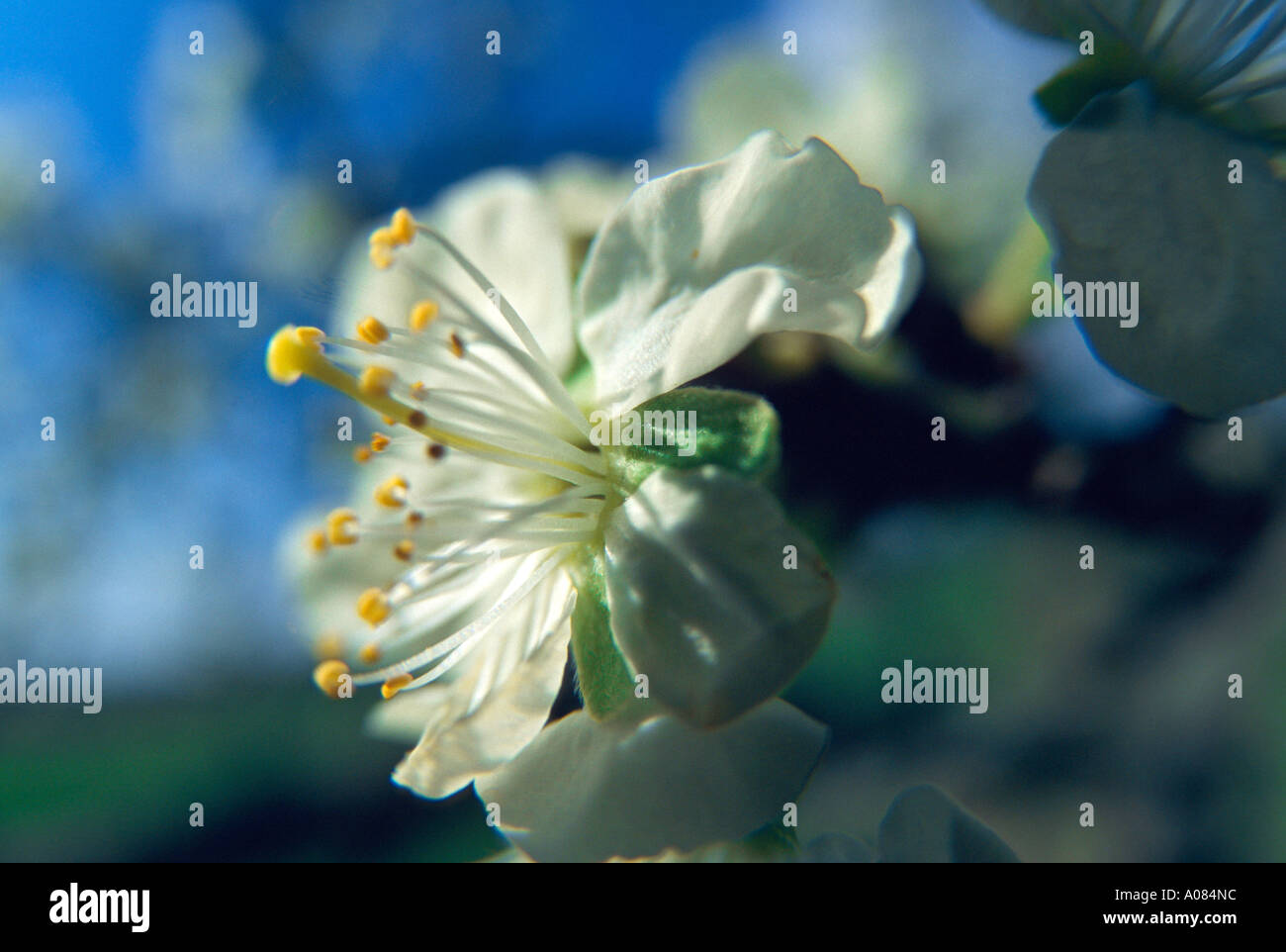 Symbolisches bild hi-res stock photography and images - Alamy