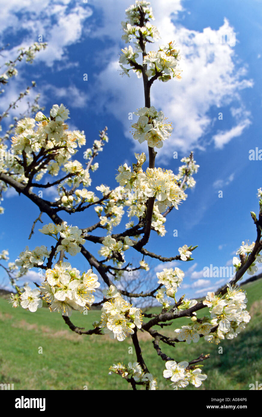 Foto symbol symbol symbol symbol bild hi-res stock photography and ...