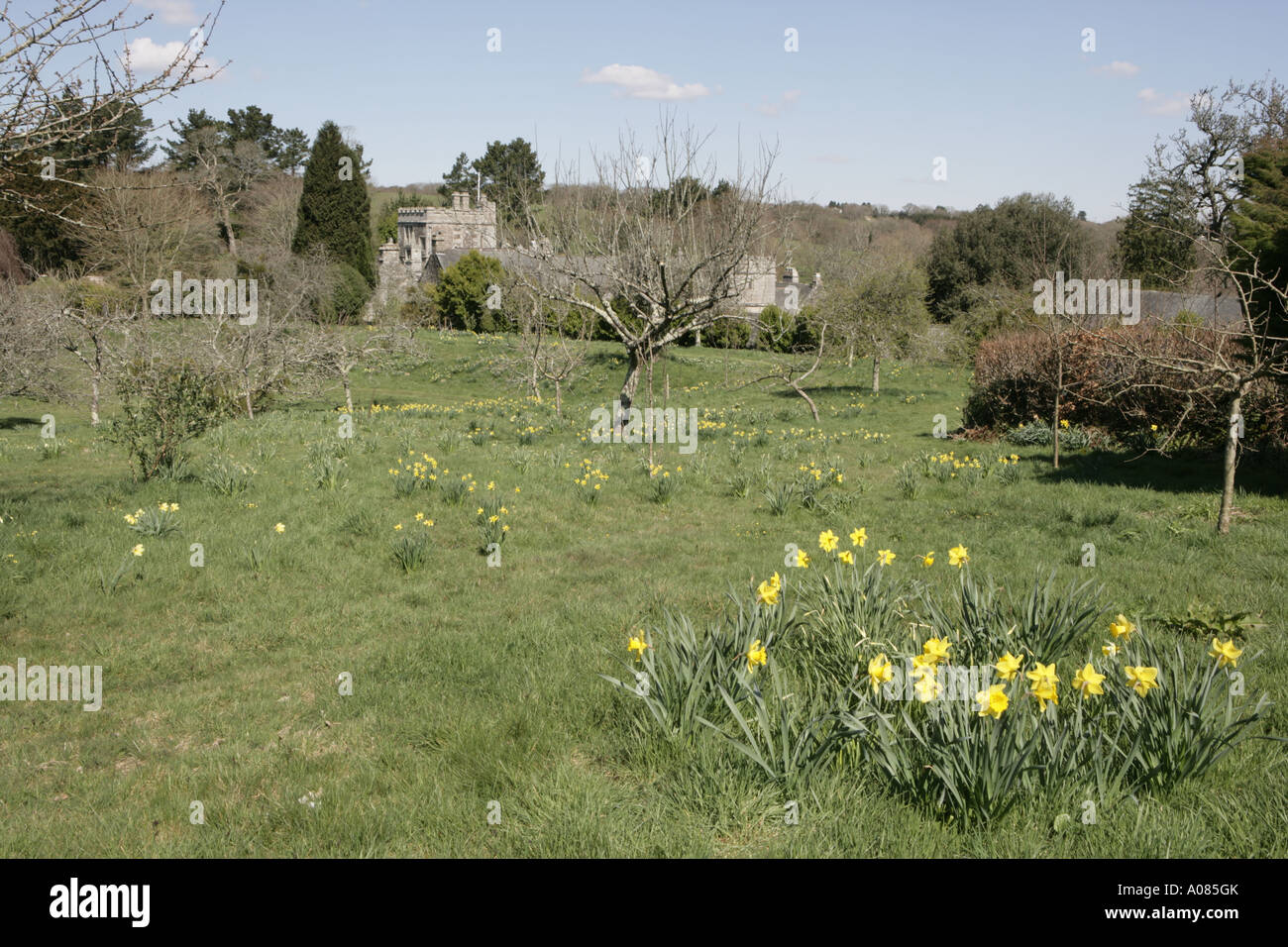 The gardens of  Cotehele an estate near Saltash Stock Photo
