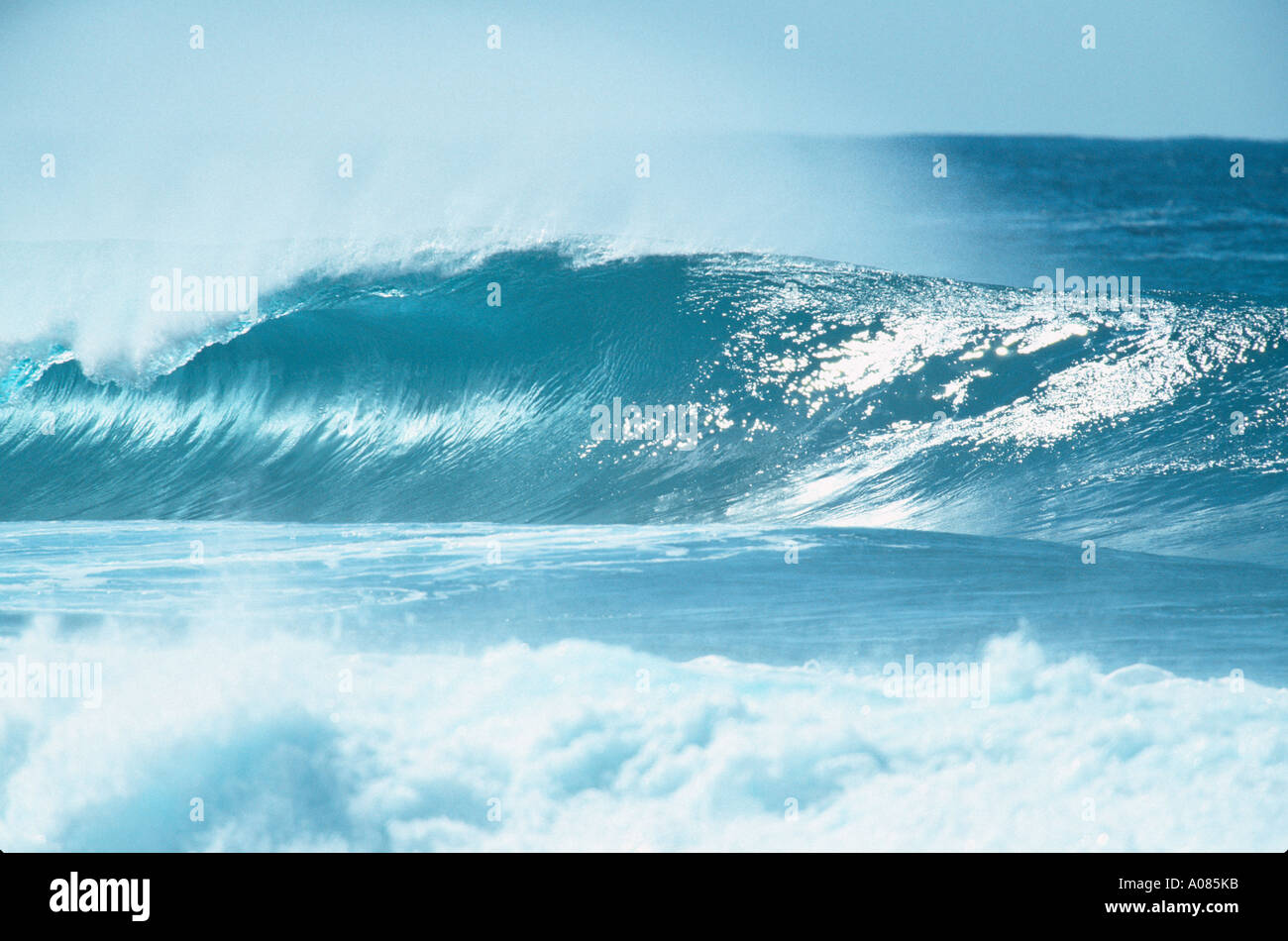 A clean wave breaks on a hawaiian reef Off the wall Oahu Hawaii Maui Hawaii USA United States Stock Photo