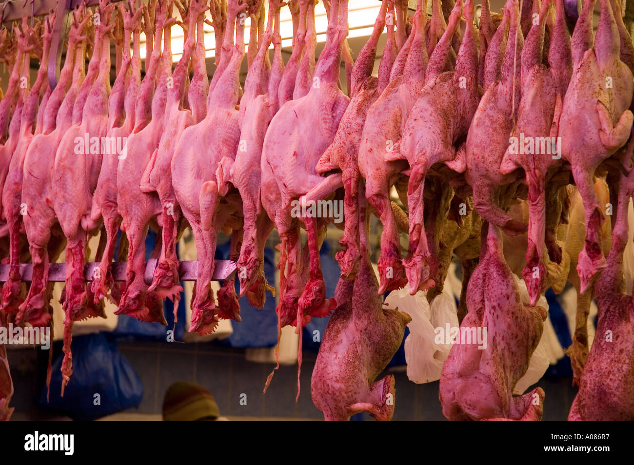 Halal Poultry shop Stock Photo