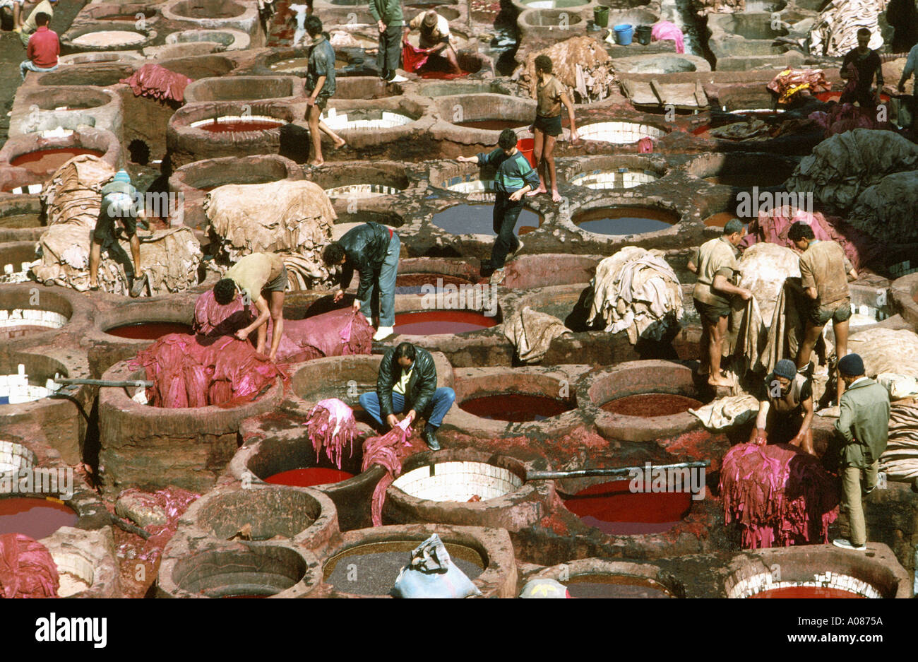 tanning pits Fez Morocco Stock Photo
