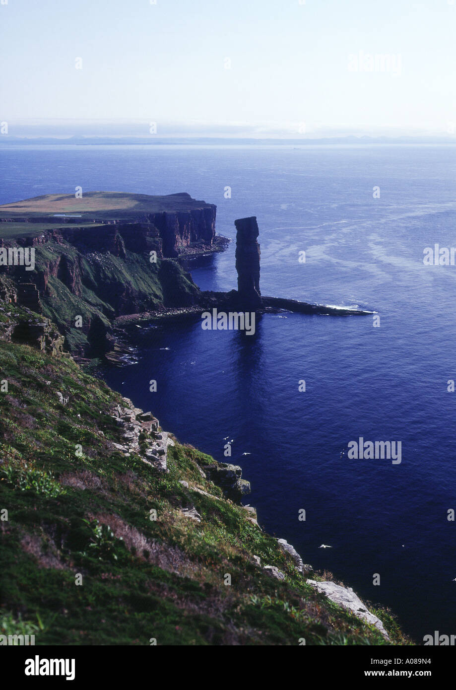 dh Old Man of Hoy seastack HOY ORKNEY West coastal cliffs sea stack silhouette Pentland firth coast scotland basalt seacoast rock scottish coastlines Stock Photo