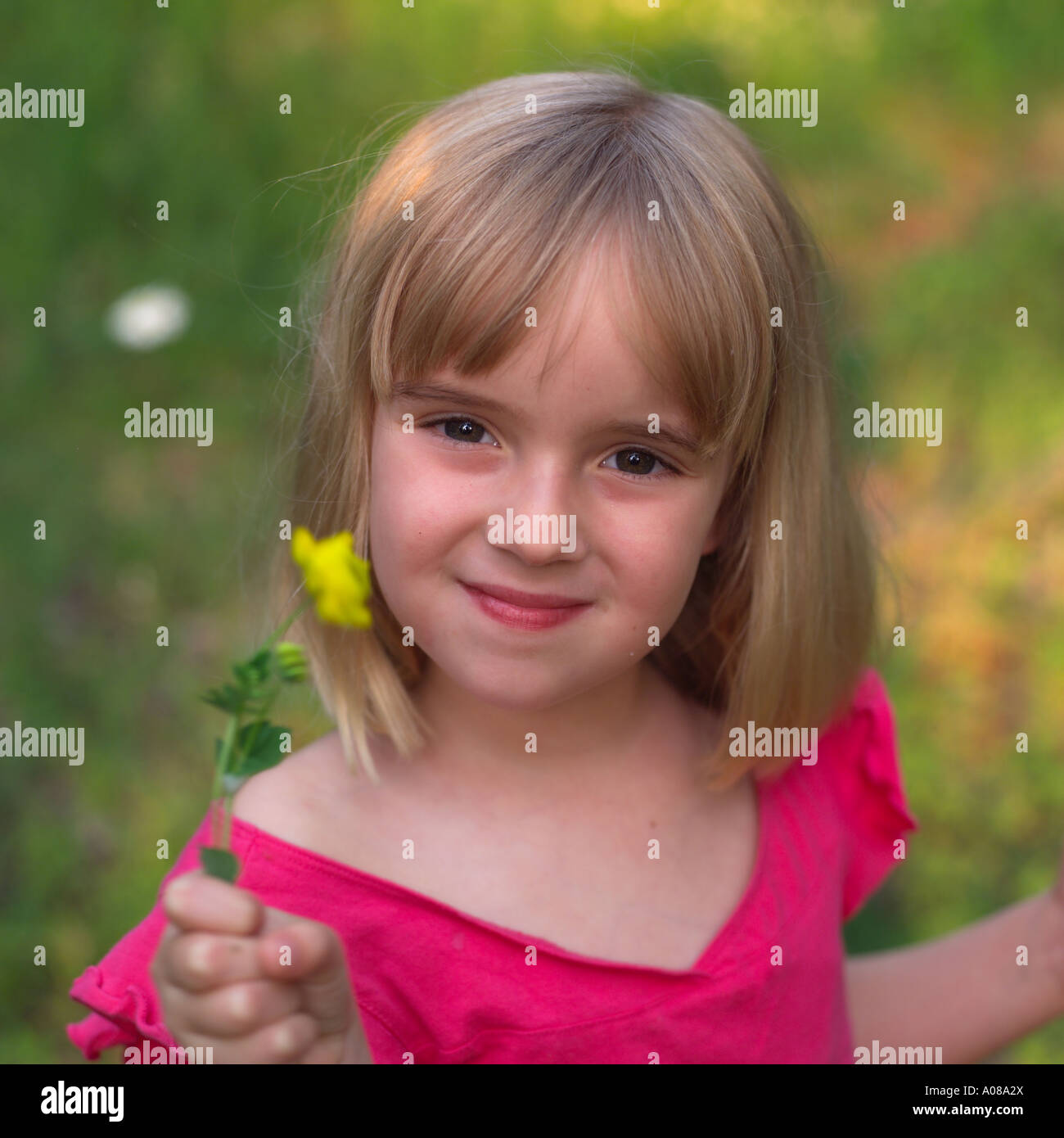 Lake of the woods ontario canada stock photo alamy