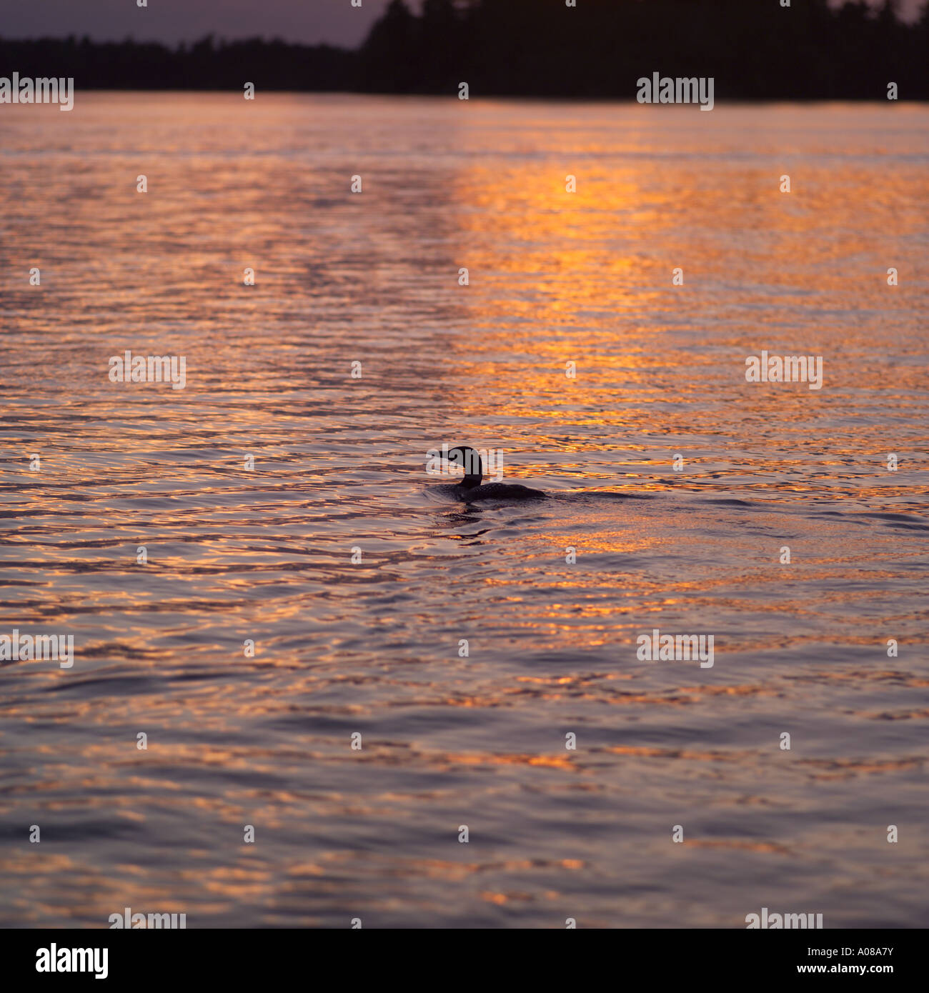 Sunrise still lake in hi-res stock photography and images - Alamy