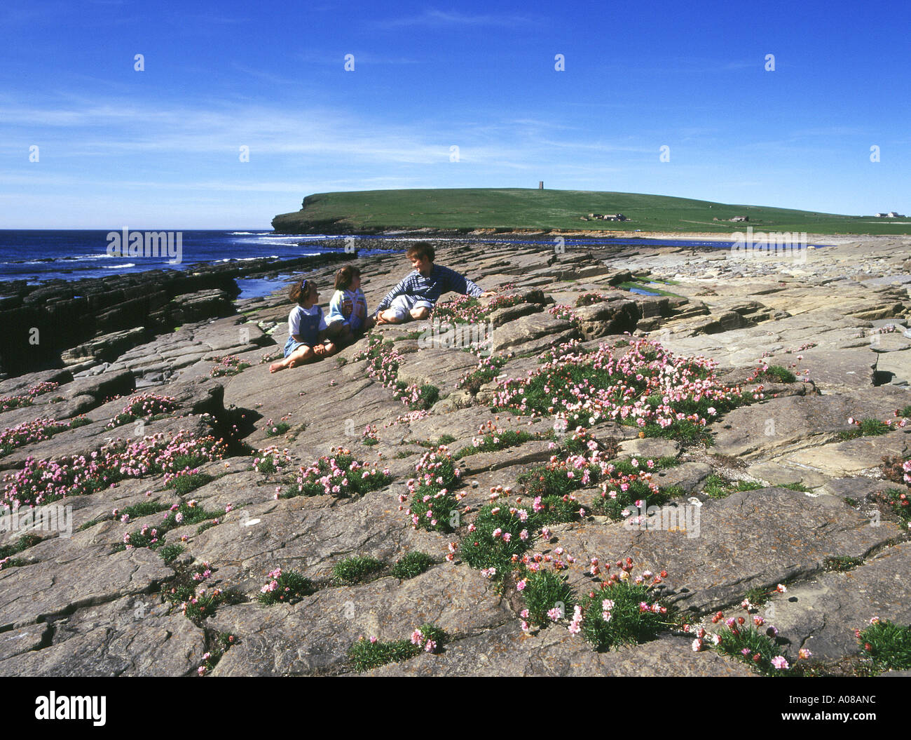 dh  MARWICK BAY ORKNEY Children and Sea pinks Armeria maritima on rocks scottish islands coast Stock Photo