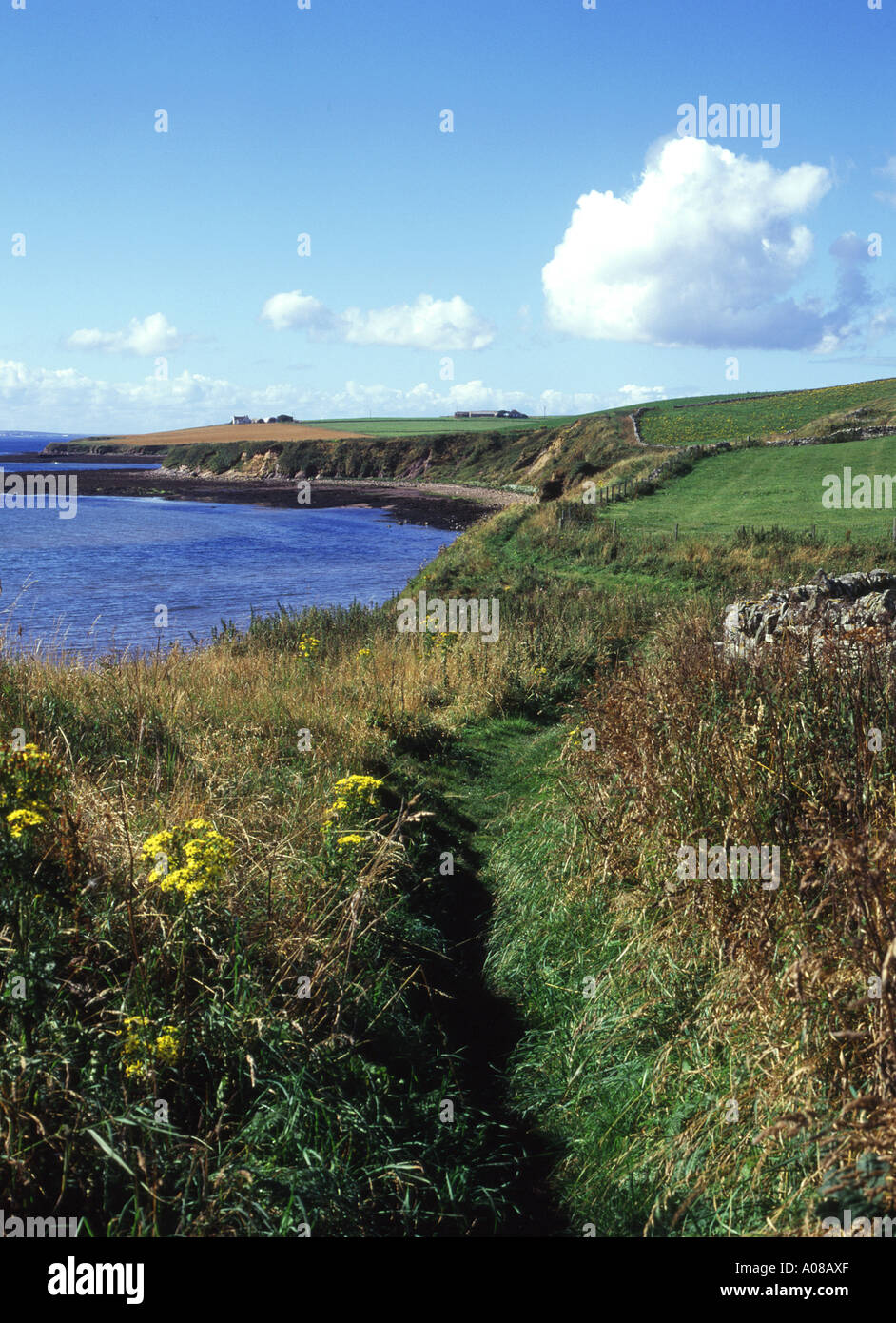 dh Foot path walk SCAPA BAY ORKNEY SCOTLAND Cliff top footpath scotland Stock Photo