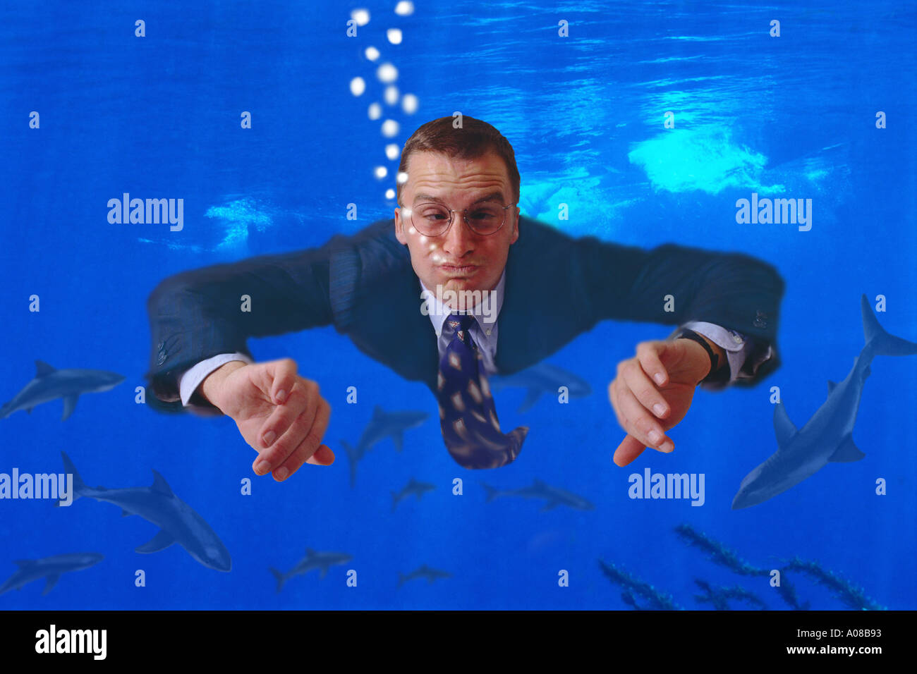 Businessman swimming in shark tank Stock Photo - Alamy