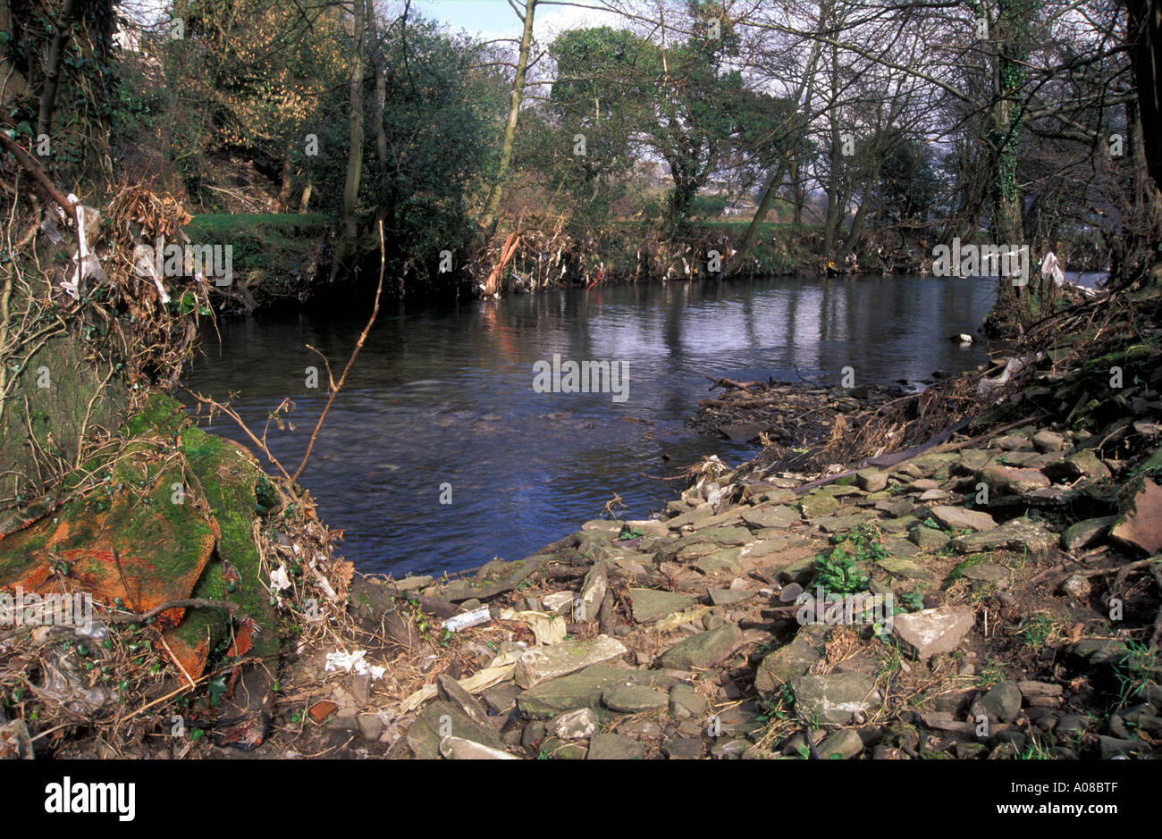 Plastic debris trapped in riverside branches, Afon Rhymney, Machen, Wales Stock Photo Alamy