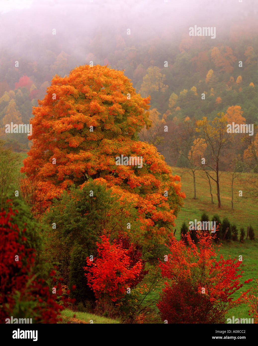 Fall Colors in North Carolina Blue Ridge Stock Photo