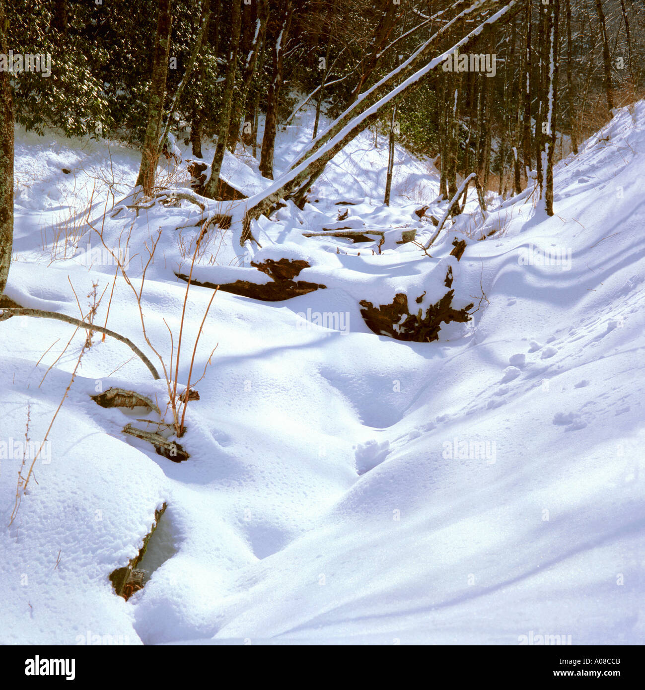 Snow covered Creek in The Great Smoky Mountains National Park Stock Photo