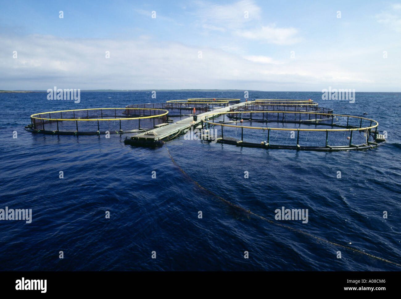dh Westray Salmon ORKNEY SALMON UK Scottish Fish farm cages and walkway organic round cage farming aquaculture Scotland Stock Photo