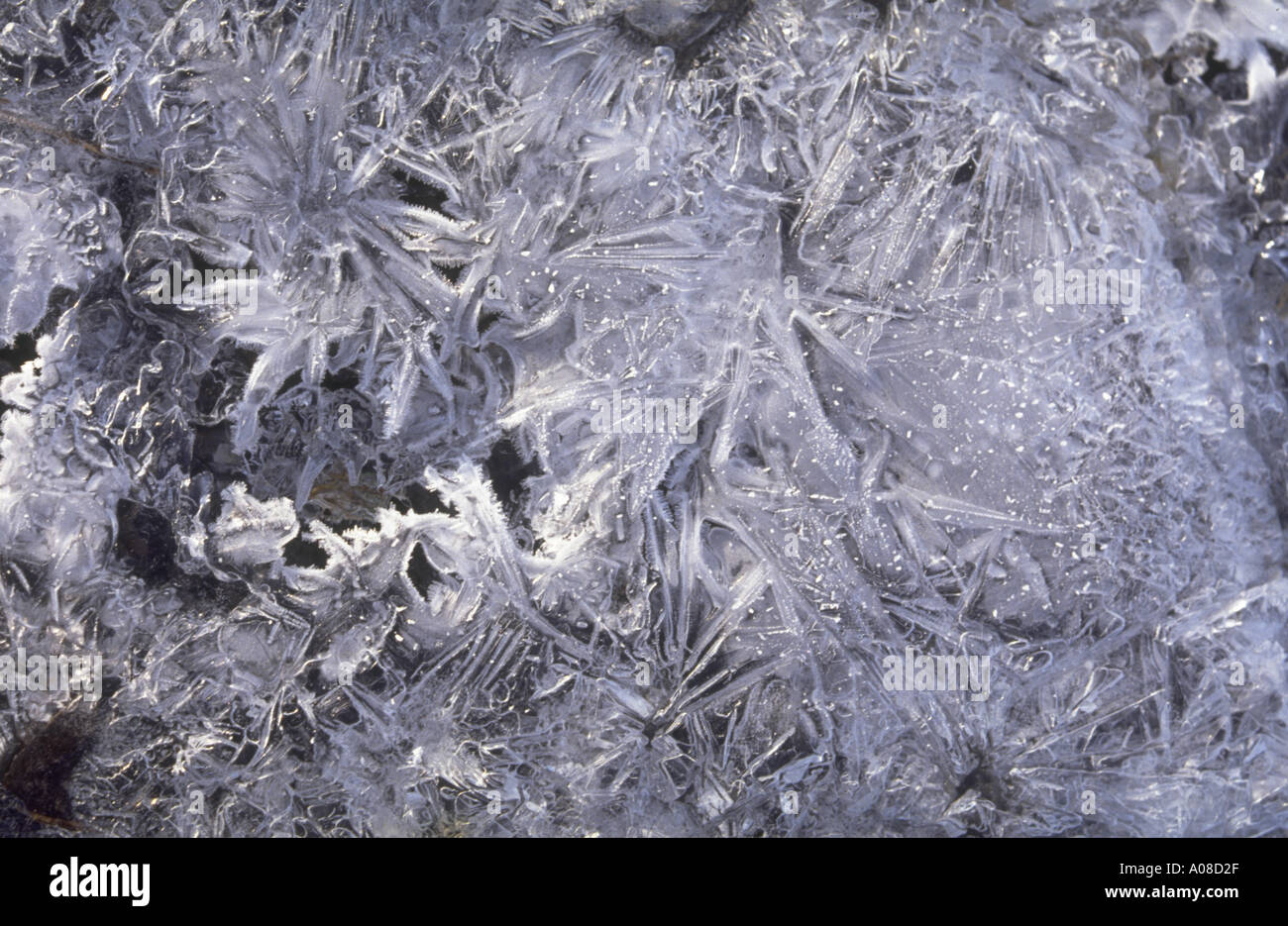 ice crystal Eiskristalle Stock Photo