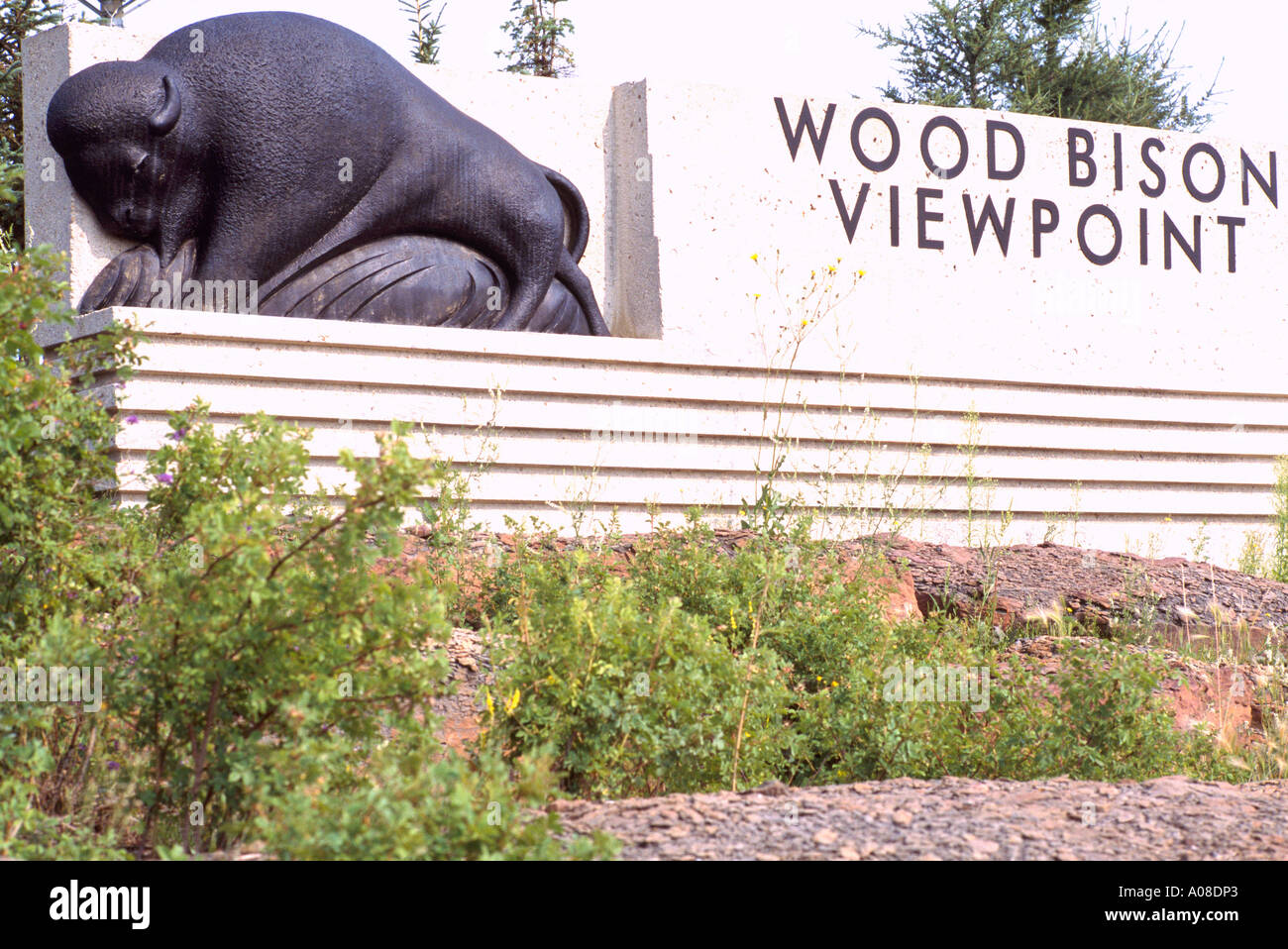 Wood Bison Viewpoint on Reclaimed Land from Syncrude Athabasca Tar