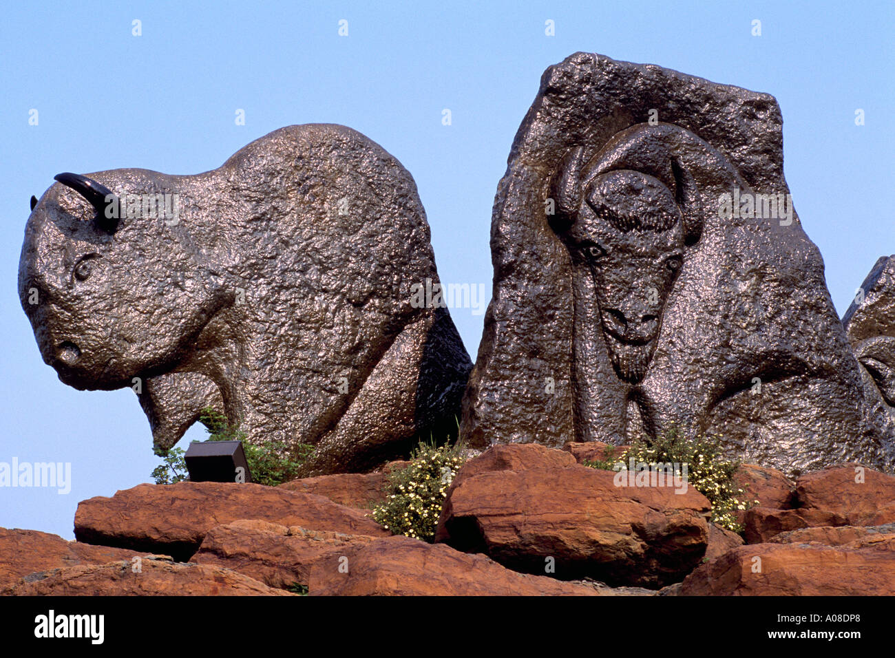 Buffalo bison statue sculpture fort hi-res stock photography and images ...