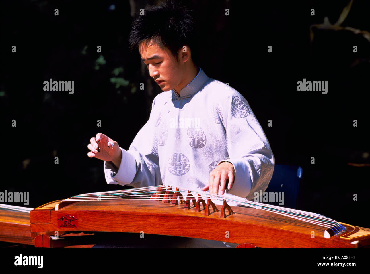 Chinese harp hi-res stock photography and images - Alamy