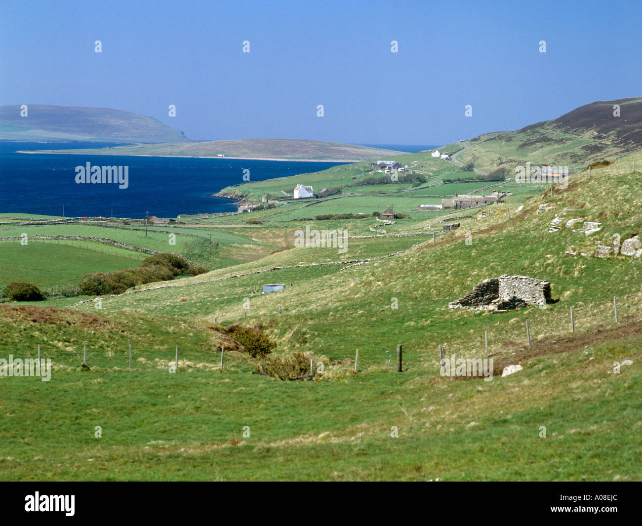 Agriculture rousay orkney hi-res stock photography and images - Alamy