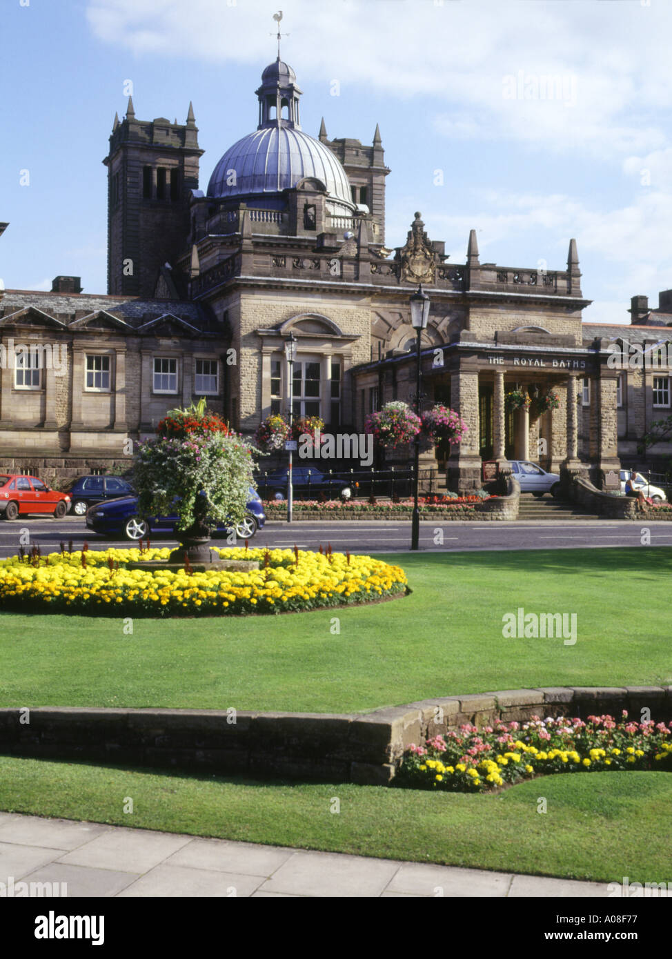 Royal flower hi-res stock photography and images - Alamy