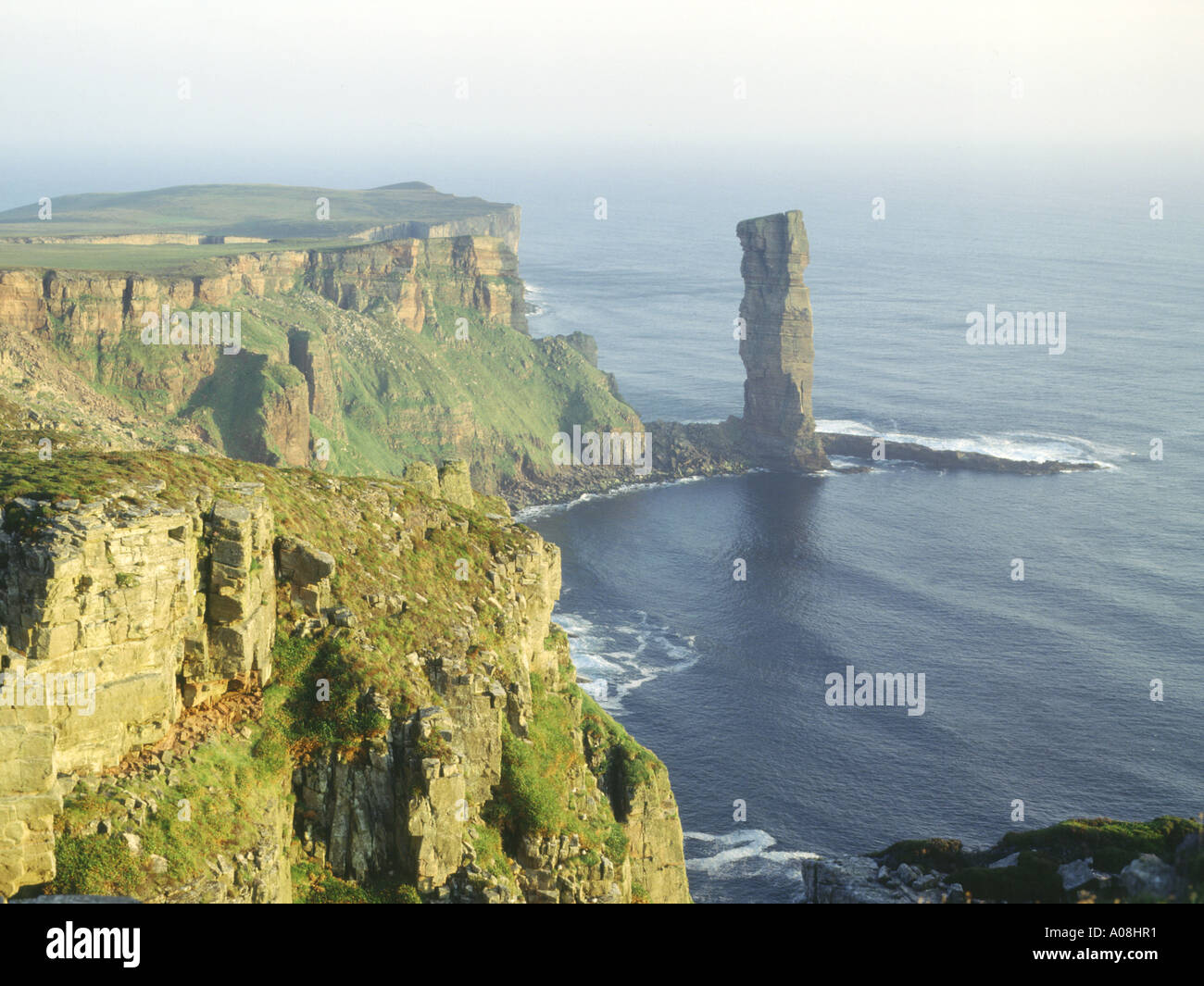 dh Old Man of Hoy HOY ORKNEY Red sandstone seastack sea cliffs Pentland Firth icon famous landmark Stock Photo